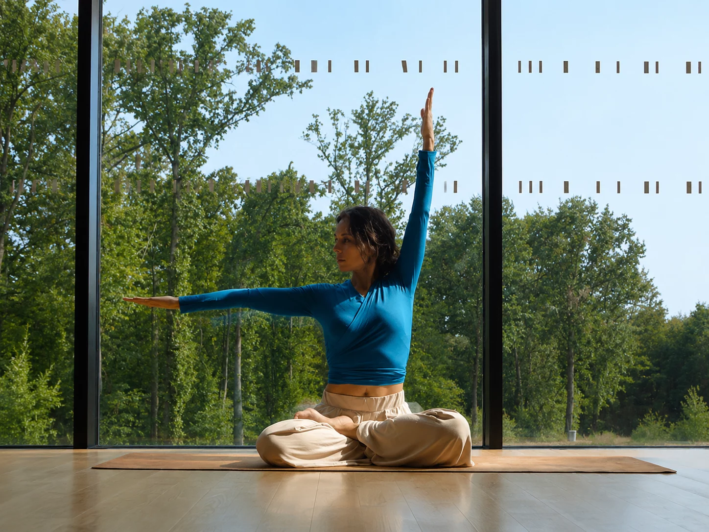 Cours de yoga Ina Yoga à Champs-sur-Marne
